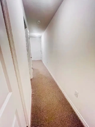 Basement for rent Image# 7