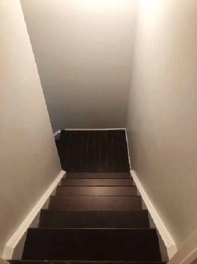2 Bed Basement Image# 6