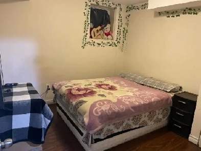 One bedroom basement apartment Brampton Image# 12