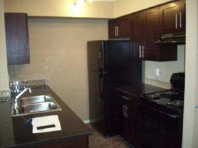 First Floor Condo with 2 bedrooms   den ($1600month) Image# 4