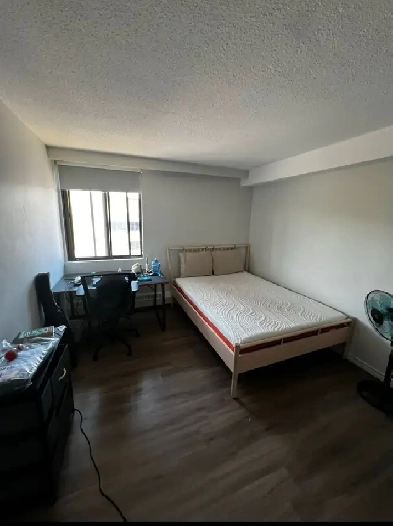 Single Room Available Image# 2