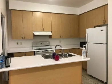 Main floor room in sharing for rent, steps to Seneca@york $600. Image# 3