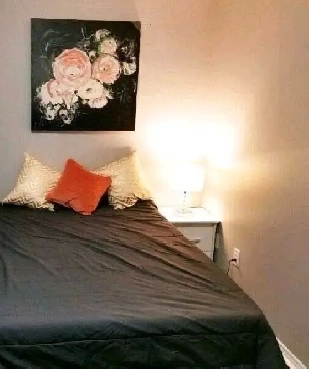 Room- PRIVATE Furnished Room - Raylawson- Close to Sheridan Image# 4