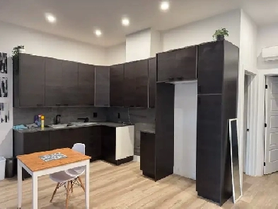 5 1/2 à louer, quartier Villeray Image# 1