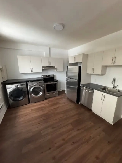 1 bedroom Appartement for rent Image# 6