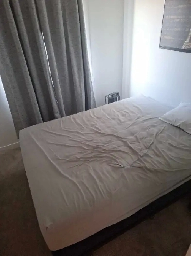 Room for rent in spruce grove Image# 6