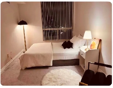 Room in Mississauga Square One Image# 4