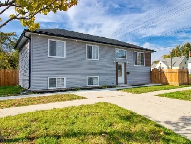 Brand New Home for Rent Image# 4