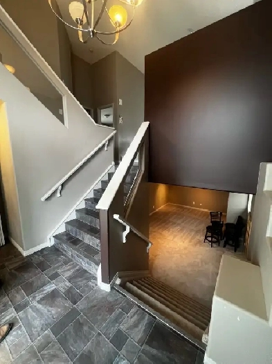 Bi-Level For Rent in Sherwood Park (Foxhaven) Image# 8