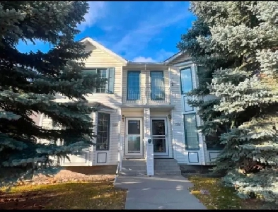 beautiful and spacious family home available for rent Image# 9