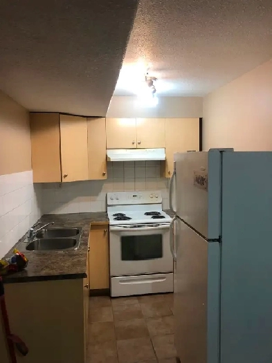 Basment for rent Image# 3