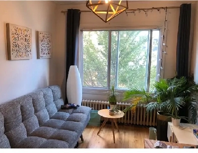 APPARTEMENT TOUT MEUBLÉ SECTEUR DE CHOIX Image# 2