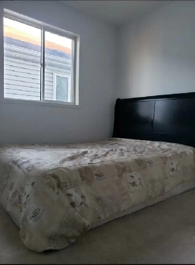 Room available for rent Image# 1