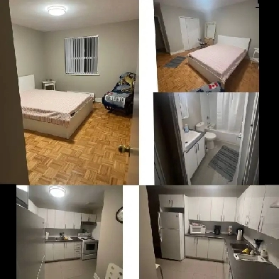 Furnished Room for Rent-Female only-North York Image# 1