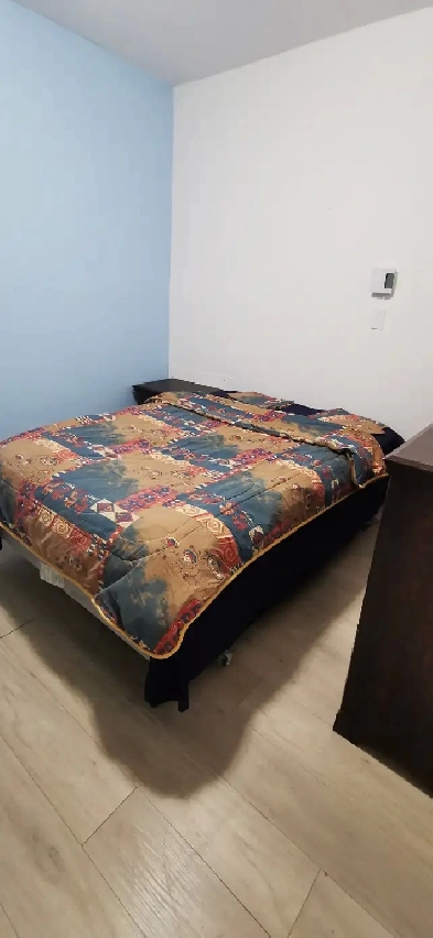 Chambre à louer étudiant / travailleur Image# 1