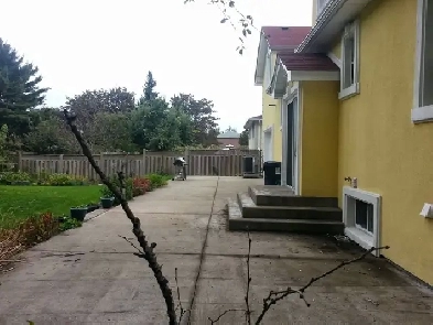 Separate entrance basement apartment for rent Image# 1