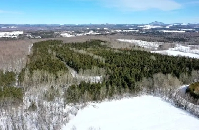 Danville (Estrie) : Terre à bois 273 acres droit const. Image# 5