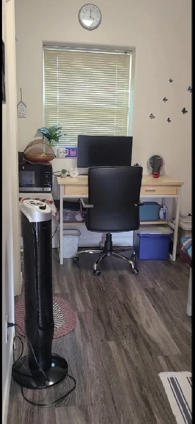 1 Bed room available for Spring 2025 Sublet Image# 1