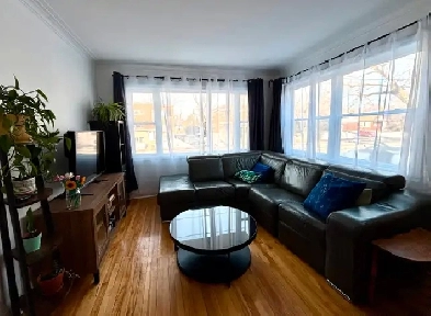 Grand 6 1/2 Rénové - Jardin et Parking - Vieux Longueuil Image# 8
