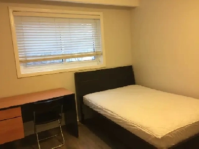 Bright & Cozy Room close to UTSC and Centennial College Image# 5