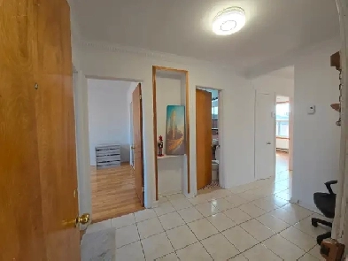 Grand 4 1/2 quartier Villeray renove , ensoleille offre un mois Image# 2