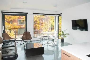 LOOKING FOR 1 ROOMMATE/CHERCHE 1 COLOC (McGill Ghetto/Downtown) Image# 5