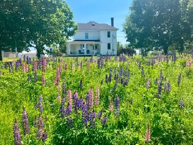 Country home for sale Image# 1