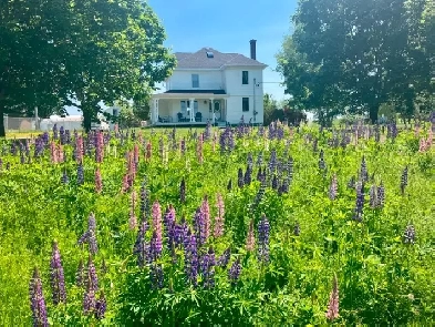 Beautiful Country Home for Sale Image# 1