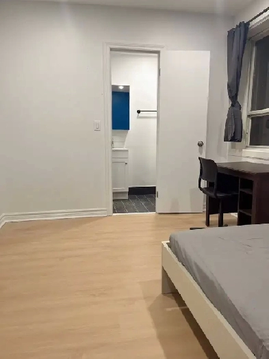 Downtown College&Ossington 1bedroom and bathroom available June Image# 4
