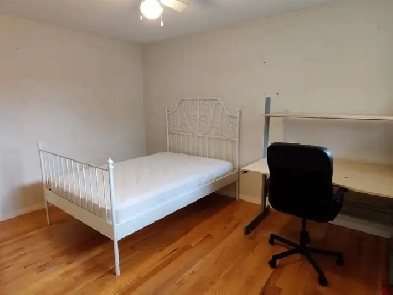 All inclusive large bedroom near Carleton & Algonquin-June 1st Image# 9