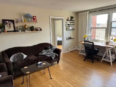 4 Month Apartment Sublet Image# 5