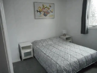 ROOM FOR RENT KANATA Image# 2