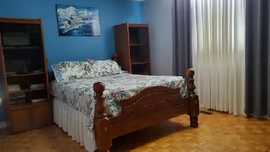 LARGE FURNISHESD ROOM IMMEDIATE.  5 MINUTES TO SQUAREONE Image# 1