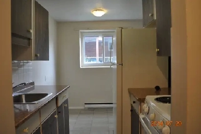 Spacious newly painted 1 bedroom apt Belleville Image# 1
