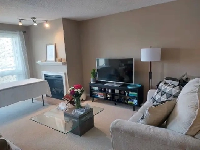 1 Bedroom Apartment in NW Calgary (Varsity) Image# 3