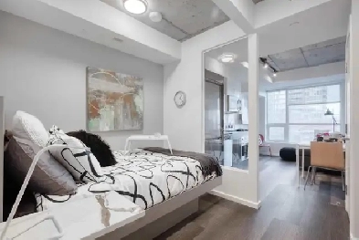 2 Bedroom Apartment - May-August 2025 (8 Minute Walk to uOttawa) Image# 2