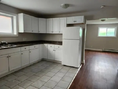 59 NORTH FRONT ST. Lower 1 Bdrm Apt. in Central Location Image# 1