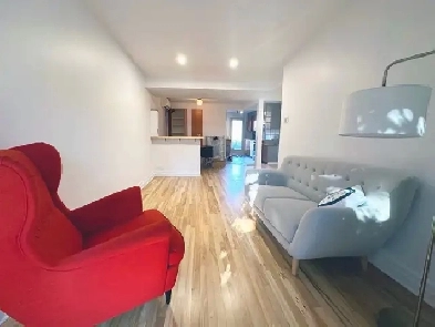 Villeray / Rosemont - 4 1/2   grande pièce au sous-sol à louer Image# 1