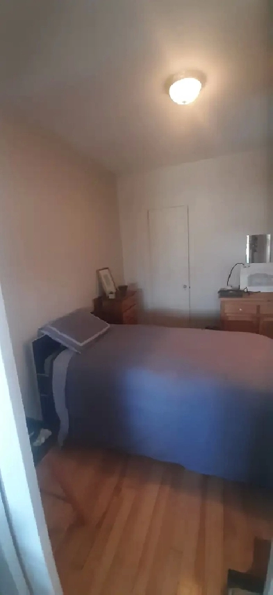 Meilleur coin de Rosemont 4electros Parc Molson Cinéma Beaubien Image# 1