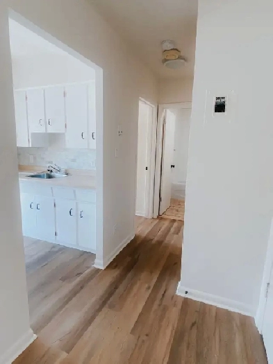 One Bedroom Apartment available June 1st Image# 6