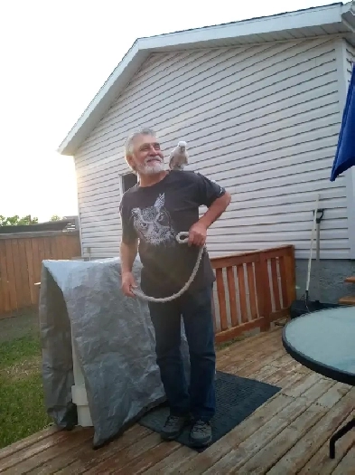 GENTLEMAN TRADESMAN WITH 2 BIRDS SEEKING SHARED ACCOMMODATIONS Image# 1