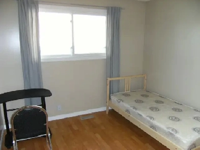 NE Newly Renovated Multiple Rooms for Rent (4) Image# 4