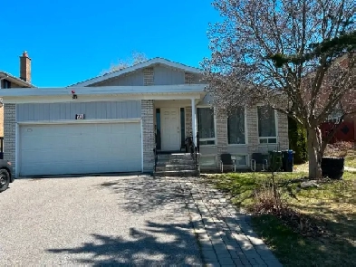 Best deal! Only $2999 Entire main floor Rent Image# 2