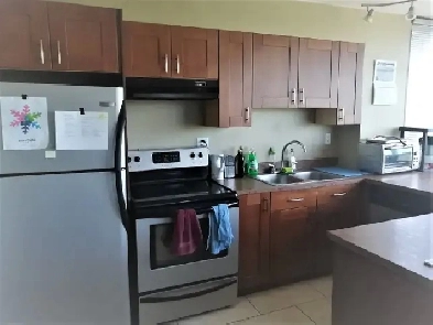 Modern 1 Bedroom Condo with  Stunning city views - June 1st/25 Image# 2