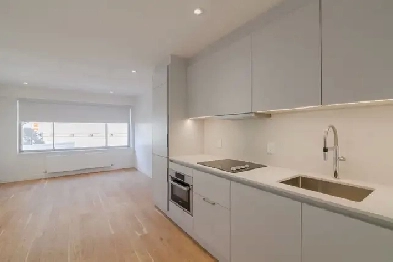 Downtown - renovated studio apartment in The Regency - ID 561 Image# 2