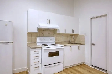 modern studio apartment on Prince-Arthur near McGill - ID 1461 Image# 3