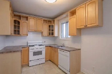spacious 5.5 for rent, June 1, Cote St Catherine, CDN - ID 1900 Image# 6