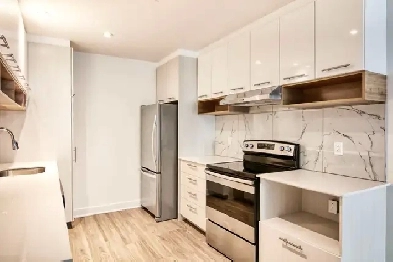 950 square foot one-bedroom apartment in Ahuntsic - ID 2370 Image# 14
