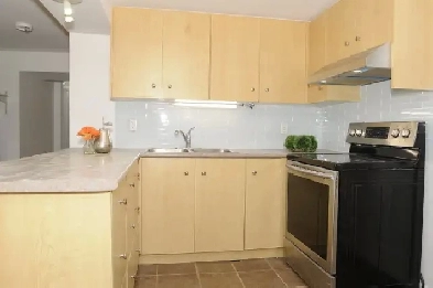 ★ Bright Home (Fireplace. Patio. Laundry ) Etobicoke★ Image# 9