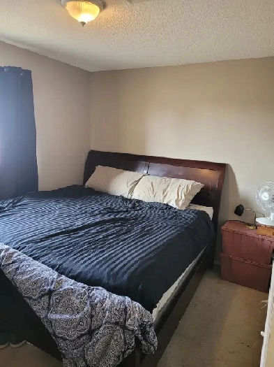 Room for Rent $800,Warm,Private, Pets Possible,BusShops Close Image# 2